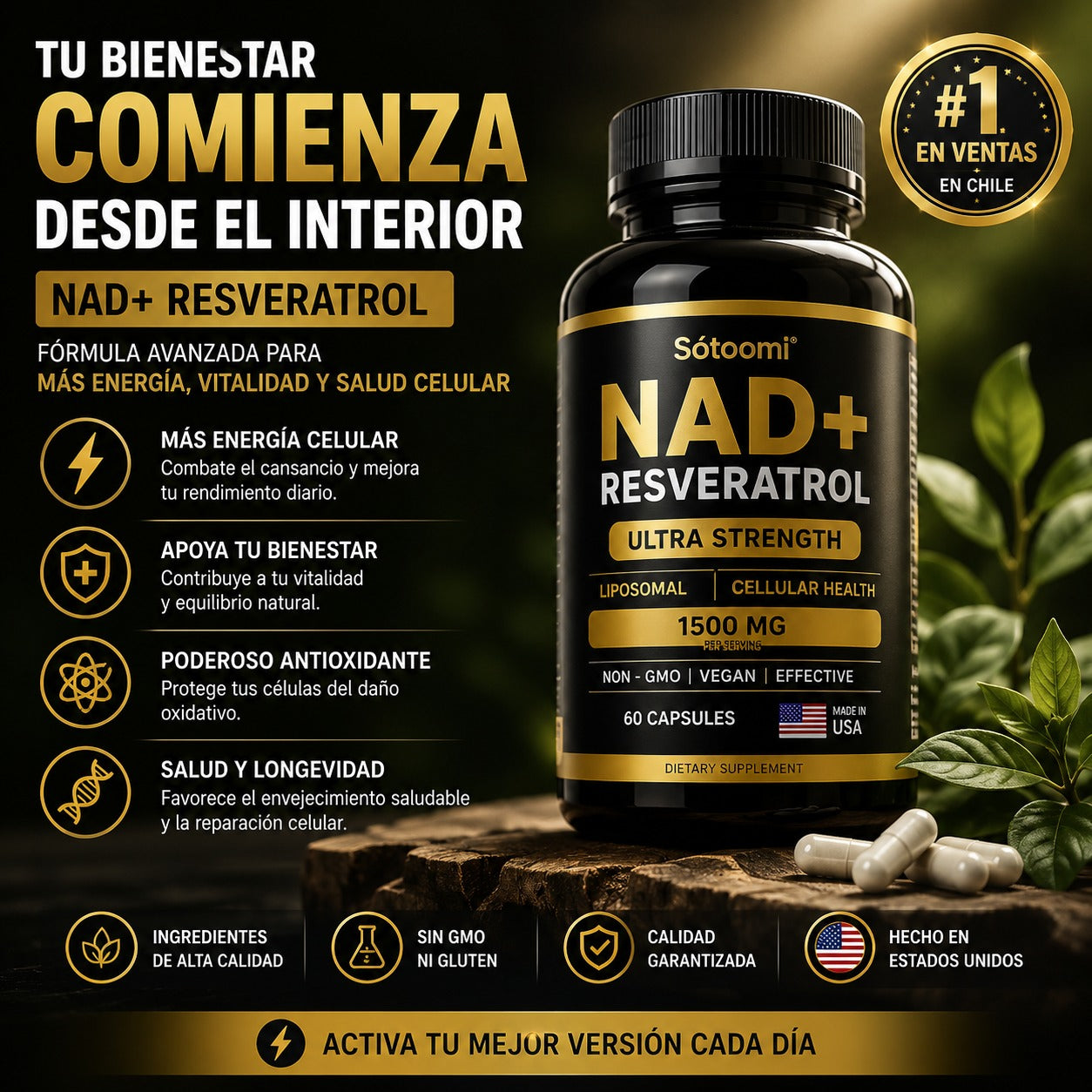 Resveratol Nad Satoomi X60 Cap
